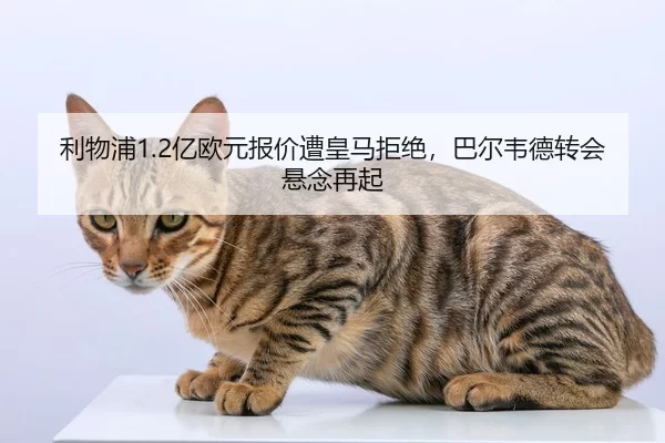 利物浦1.2亿欧元报价遭皇马拒绝，巴尔韦德转会悬念再起